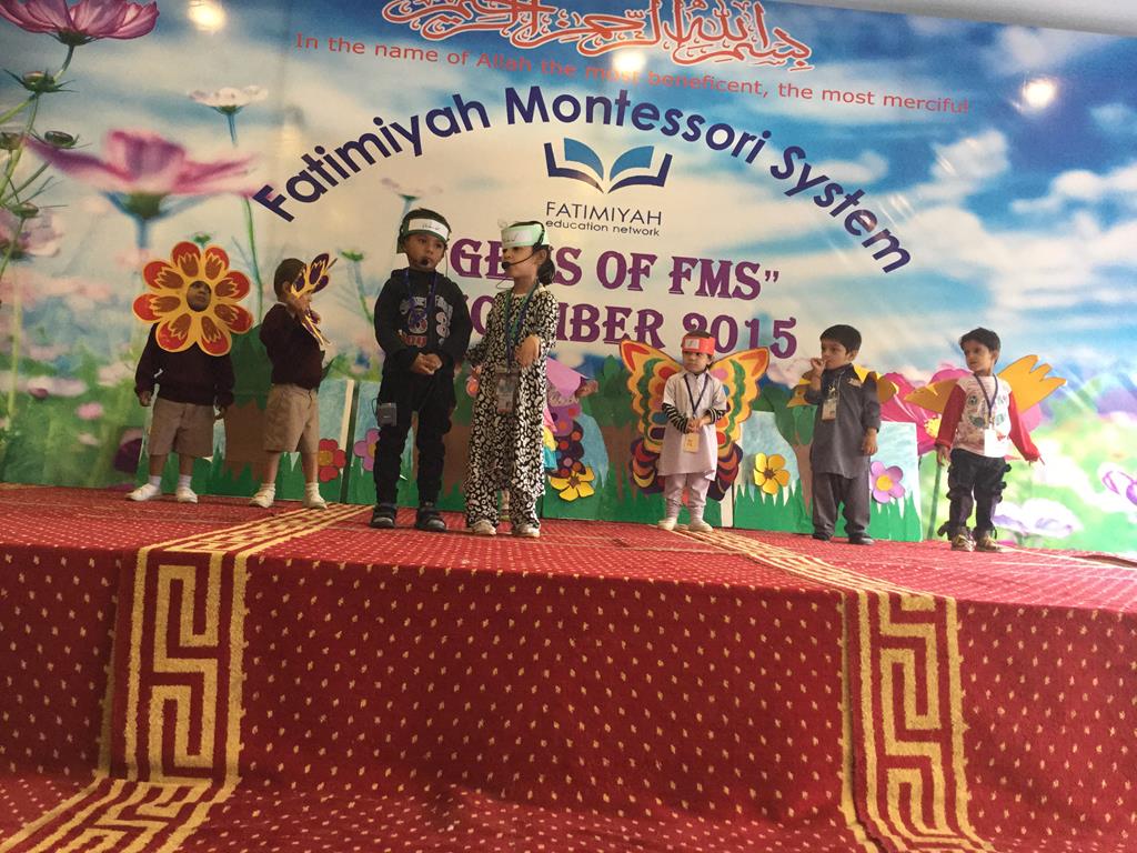 Gems of FMS 2015 - Marigold (FMS1 and 2)