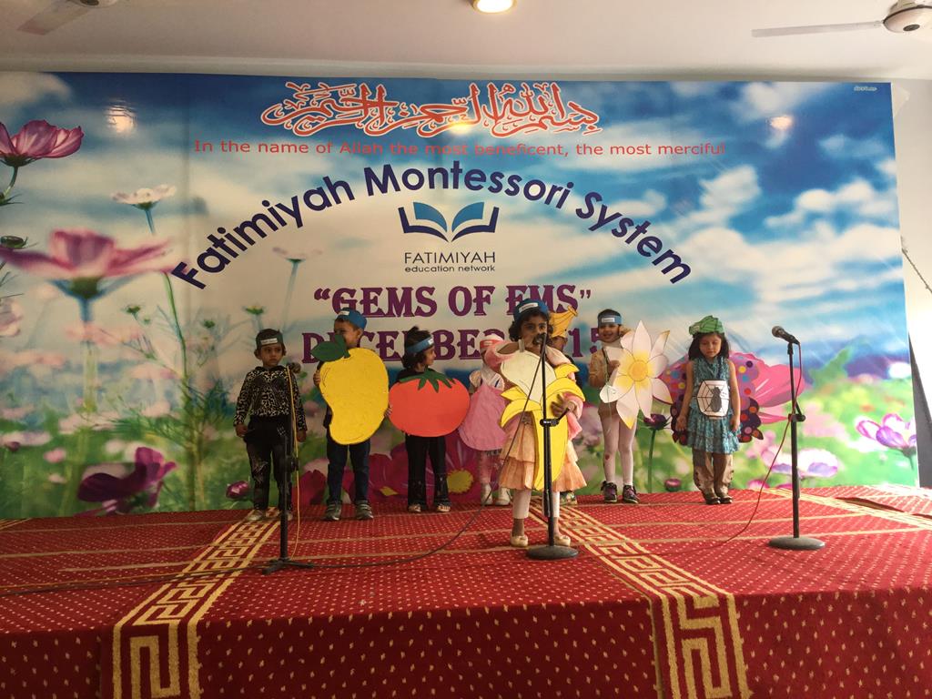 Gems of FMS 2015 - Marigold (FMS1 and 2)